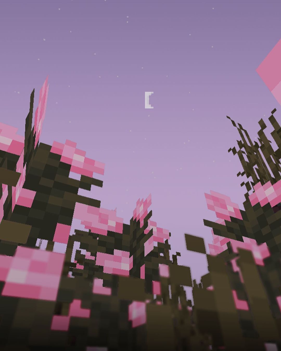 Cherry blossom trees under a soft moon in Minecraft