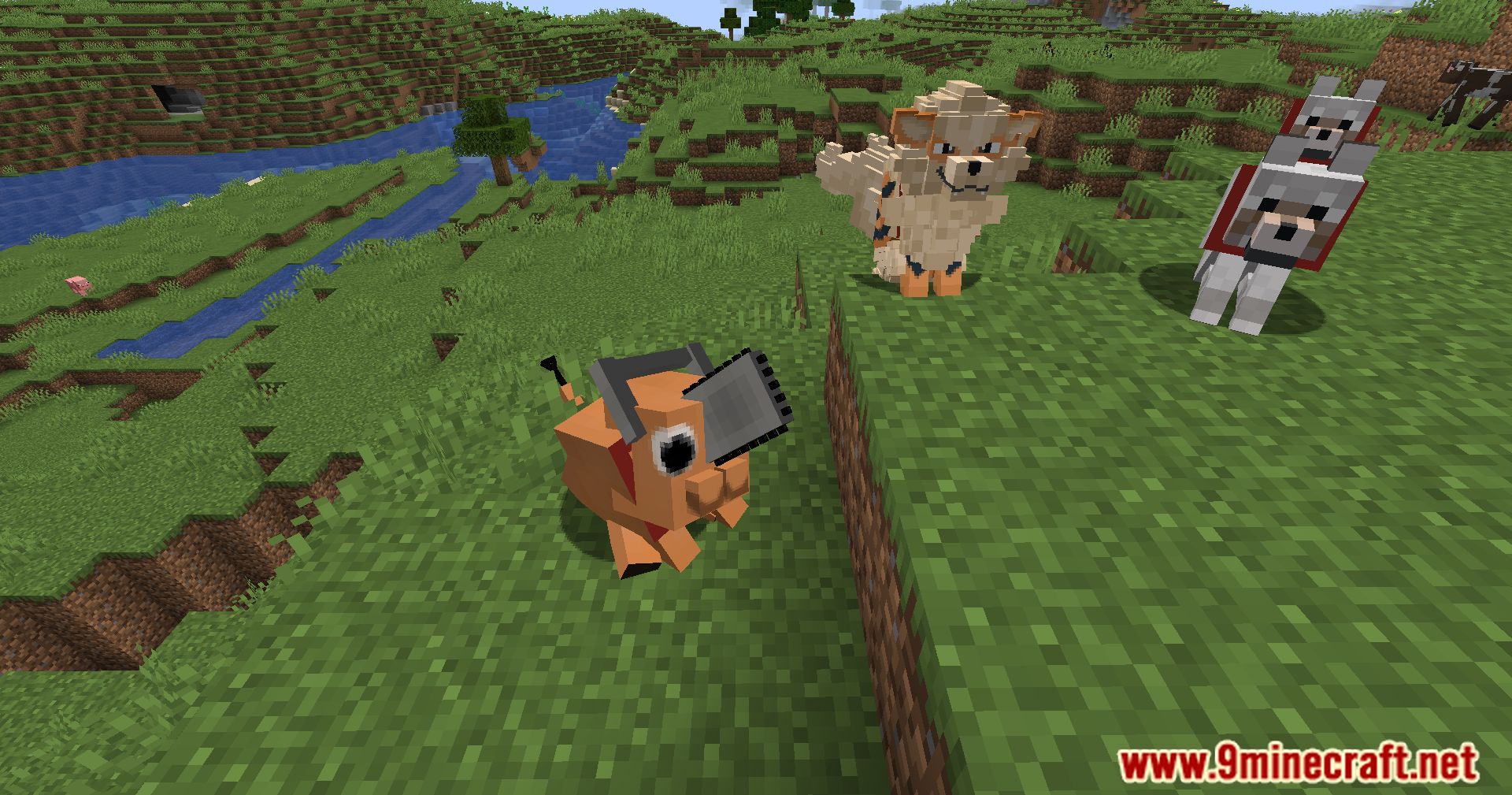Modded dogs