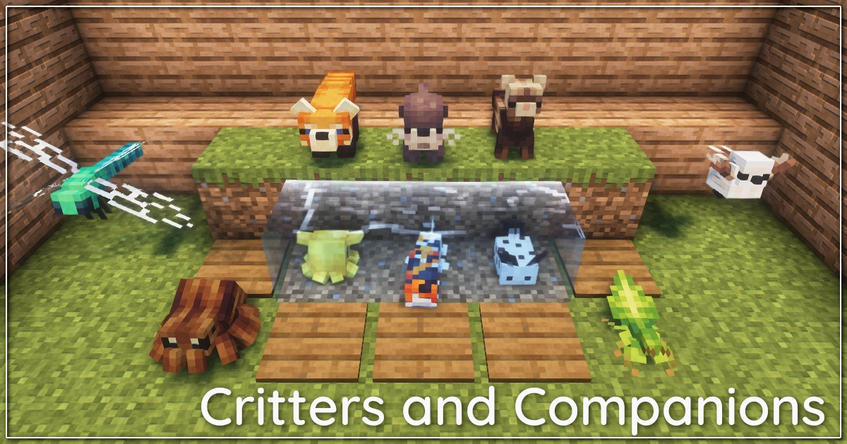 Animal companion collection