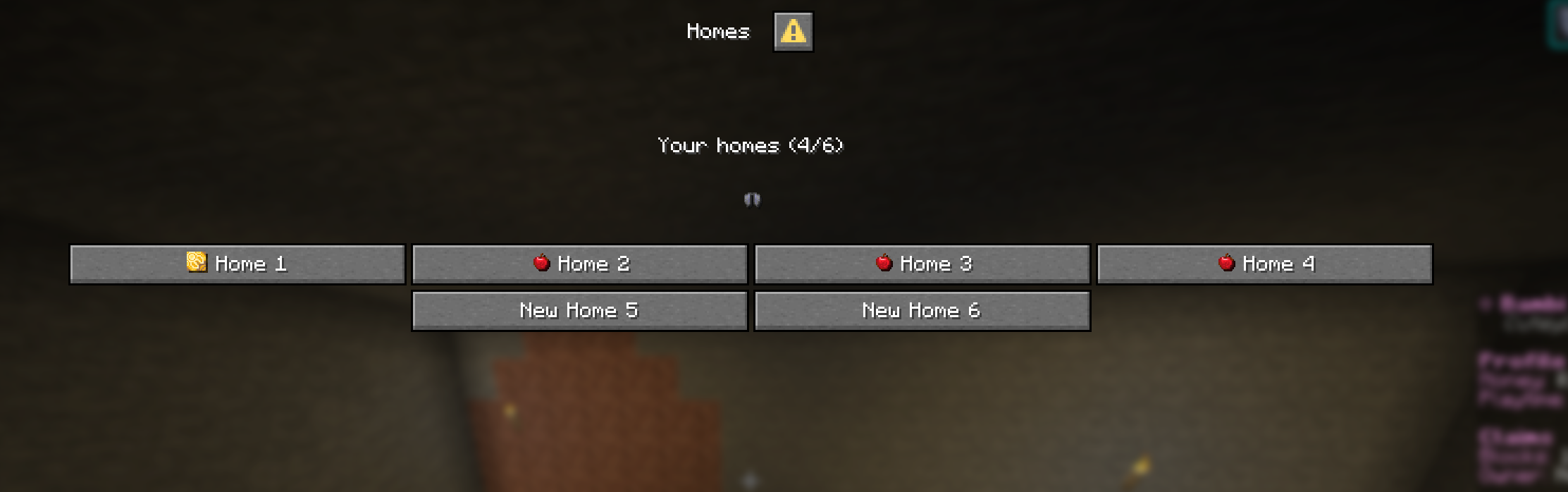 BambiSMP home menu and home detail screen